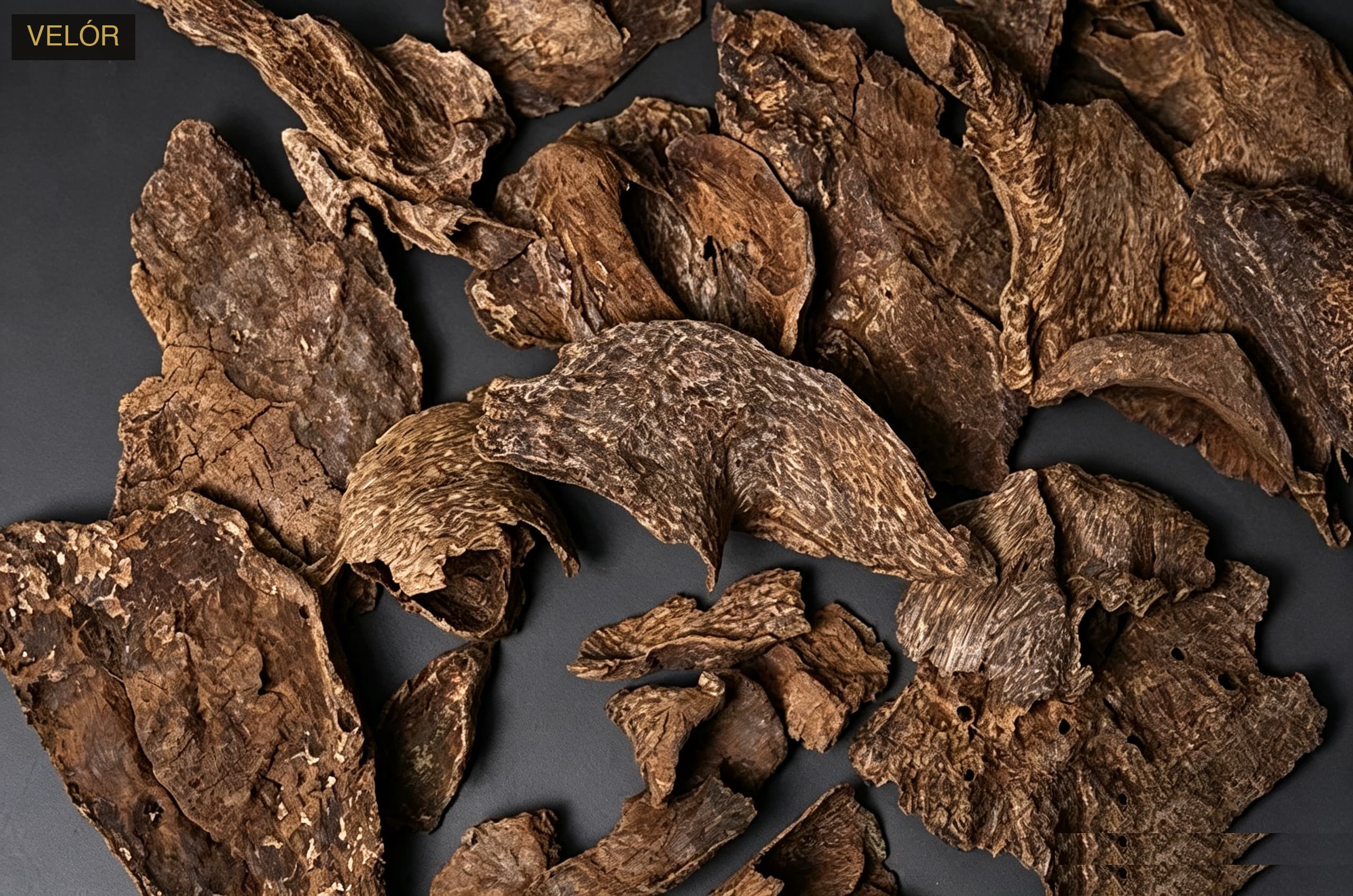 Hainan Wild Agarwood — Collector's Piece